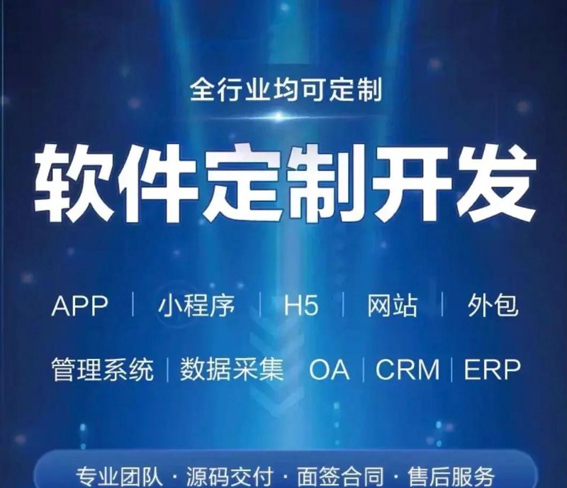 定制解决方案：系统定制在企业IT中的应用